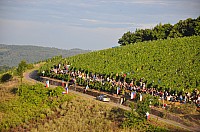 WRC-D 22-08-2010 083.jpg